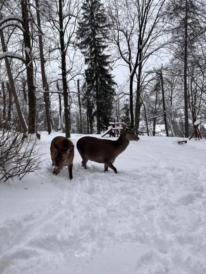 Nauczycielskie Centrum Zakopane Dış mekan fotoğraf