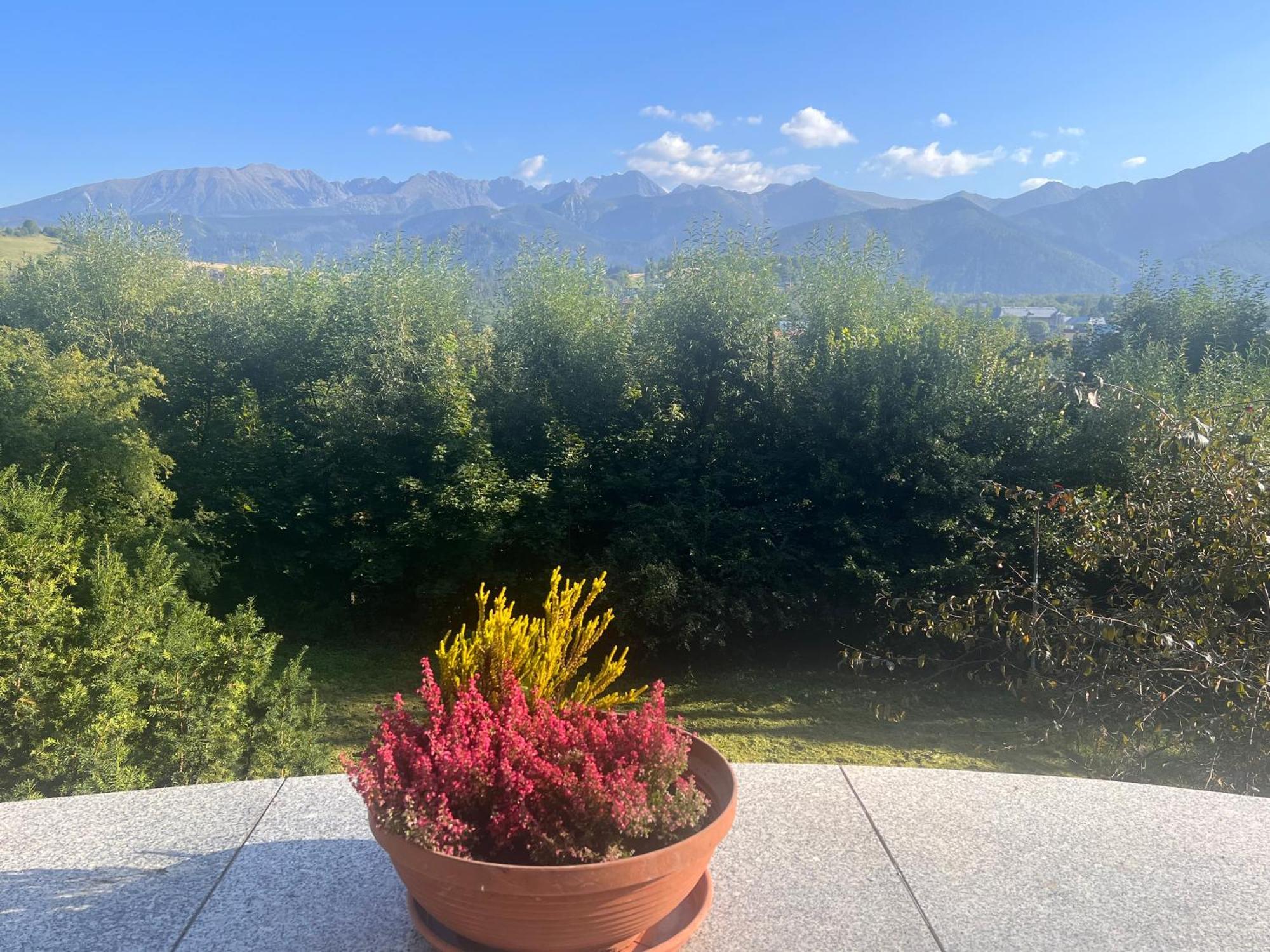 Nauczycielskie Centrum Zakopane Dış mekan fotoğraf